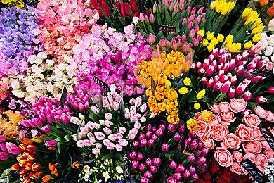 TGA主持人：希望玩家摈弃“没被提名就不是好游戏”的思想