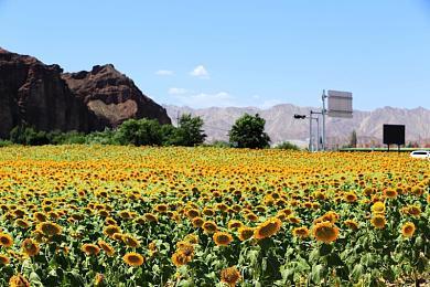 《龙腾世纪：影障守护者》Steam在线峰值升到8.4万 终究没有突破10万