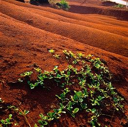 经典漫改《七大罪：起源》确定登陆PS5与Steam 今年发售